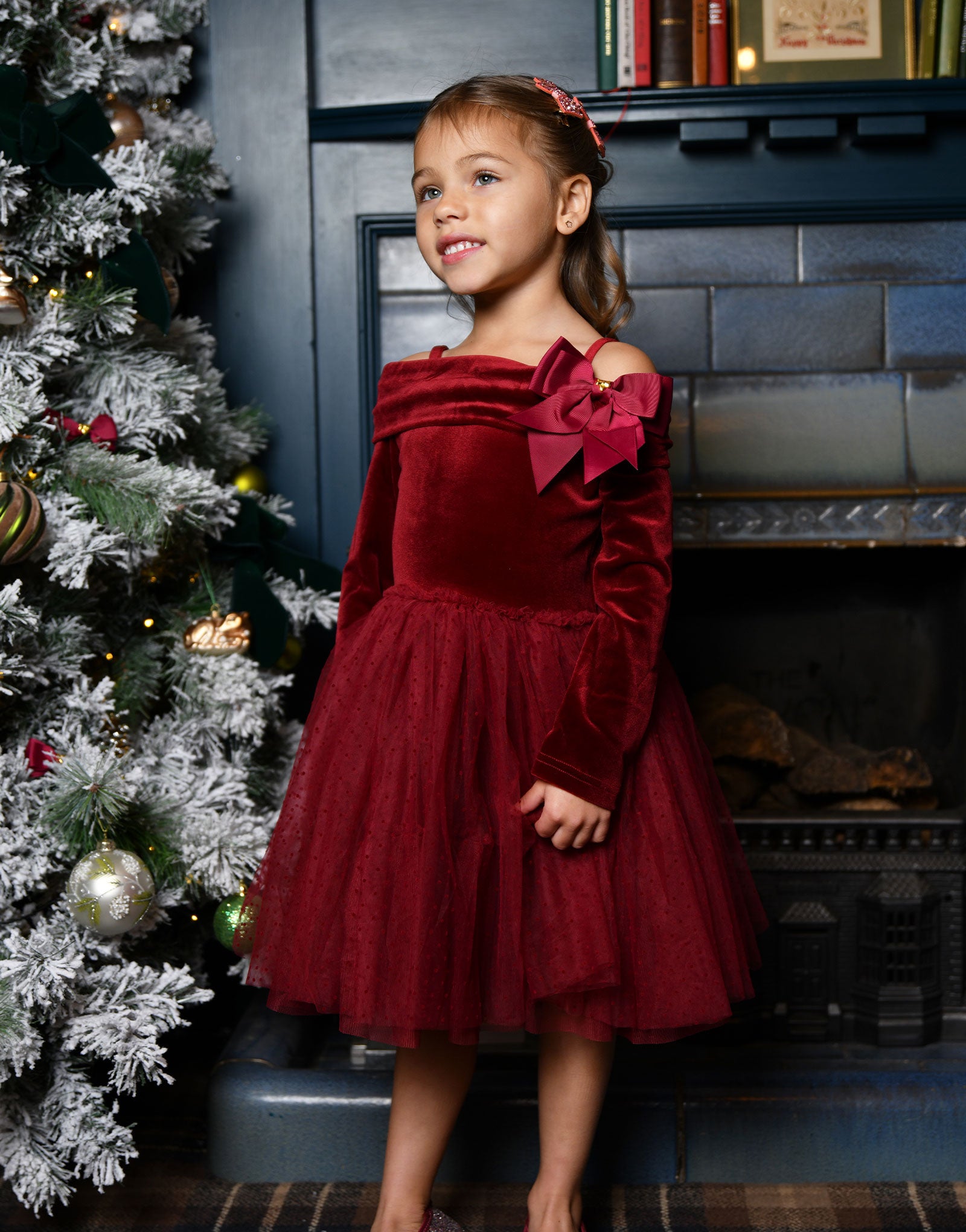 Hepburn Velour Tulle Tea Dress Port