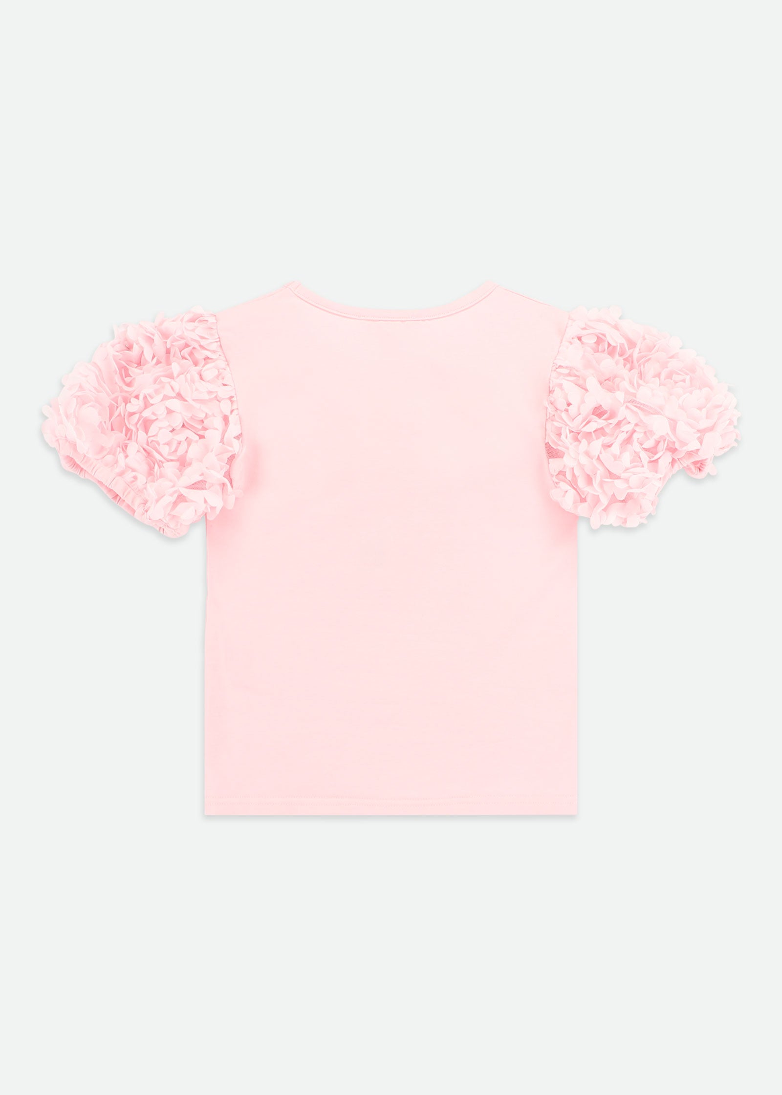 Jena 3D Roses Sleeve Top Fairy Pink