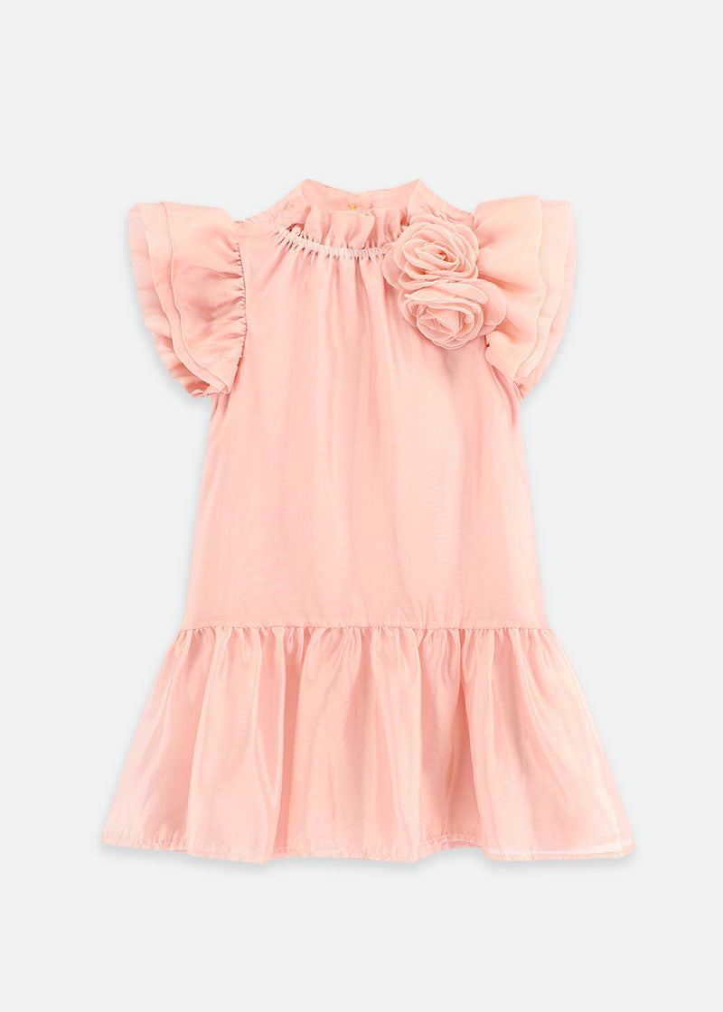 Loreen Flowers Trim Dress Blush Pink