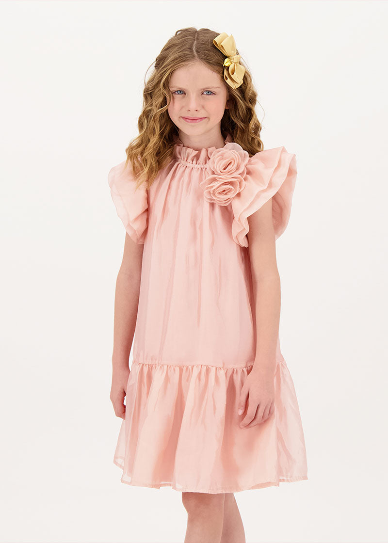 Loreen Flowers Trim Dress Blush Pink