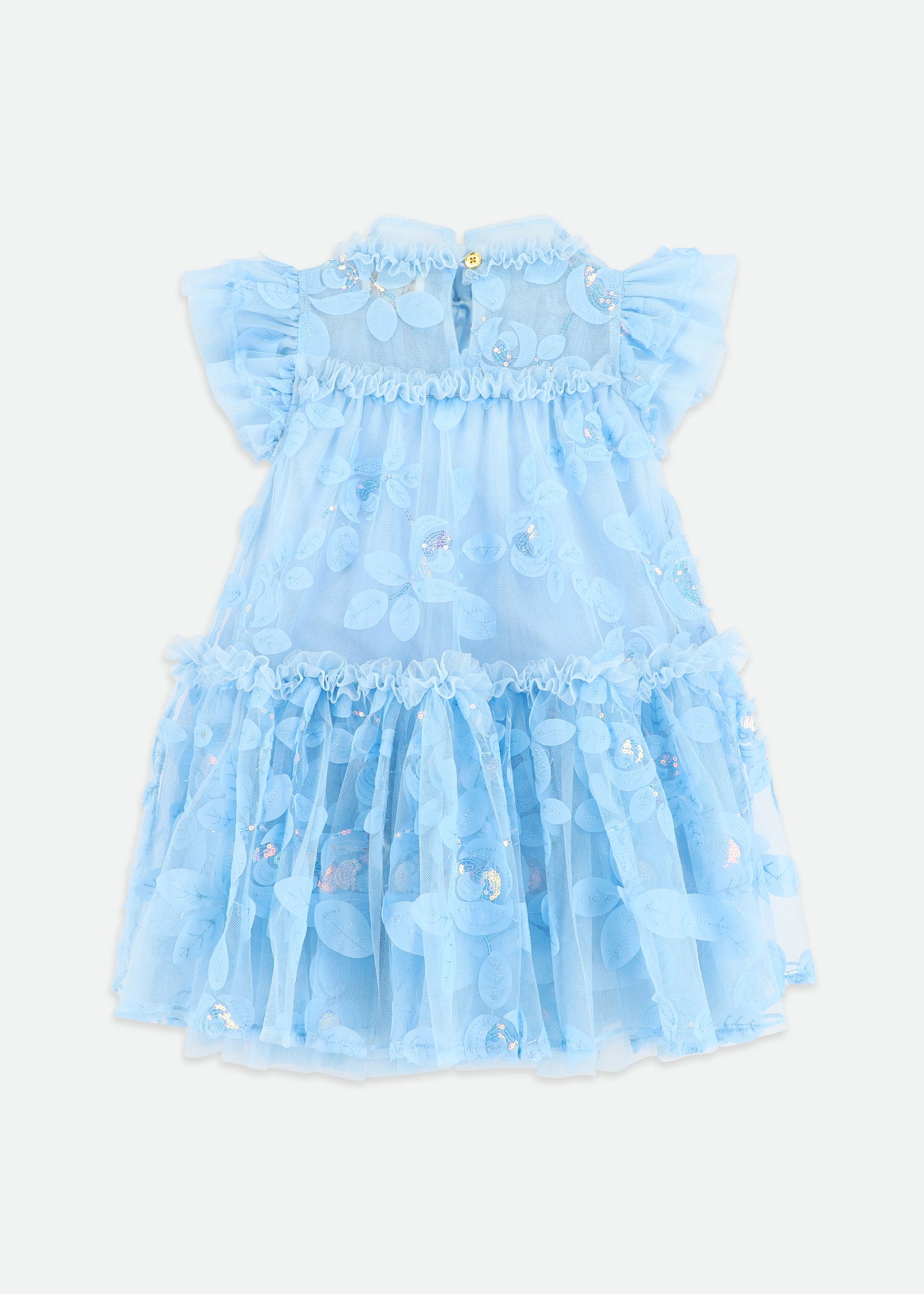 Marietta Embroidered Tulle Dress Blue