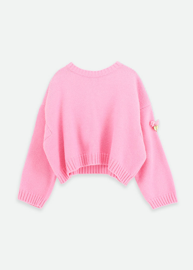 Roberta Cropped Jumper with Wings Rose
