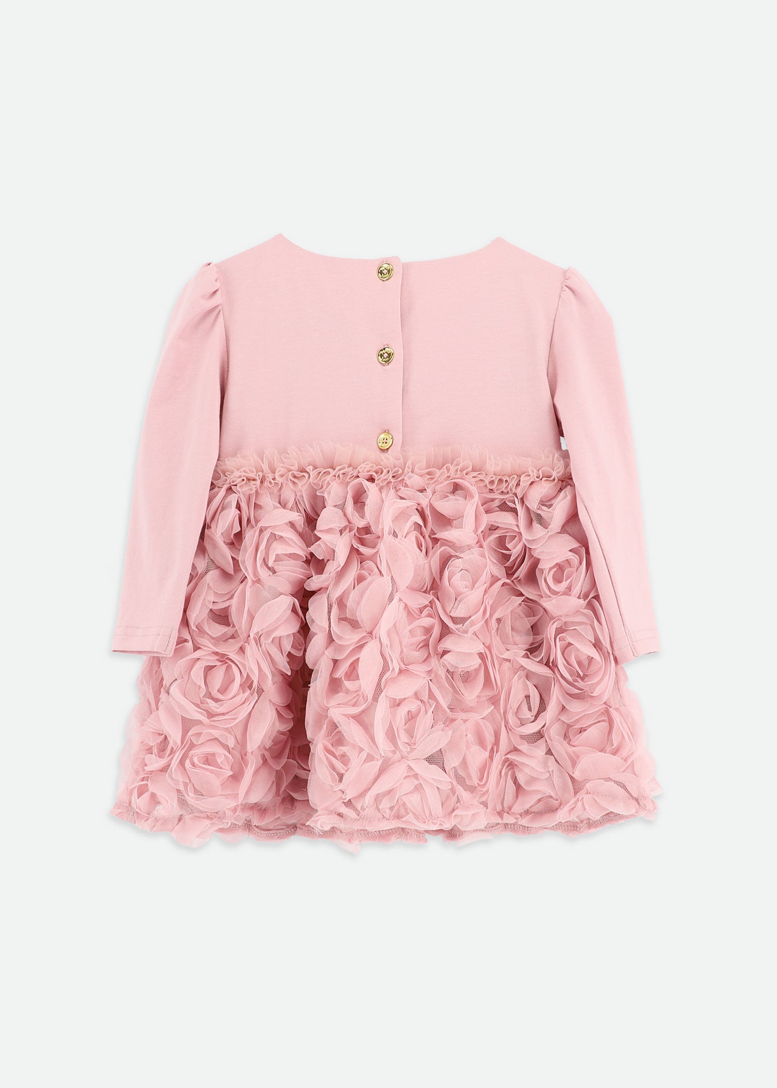 Talia Baby 3D Roses Dress Tea Rose