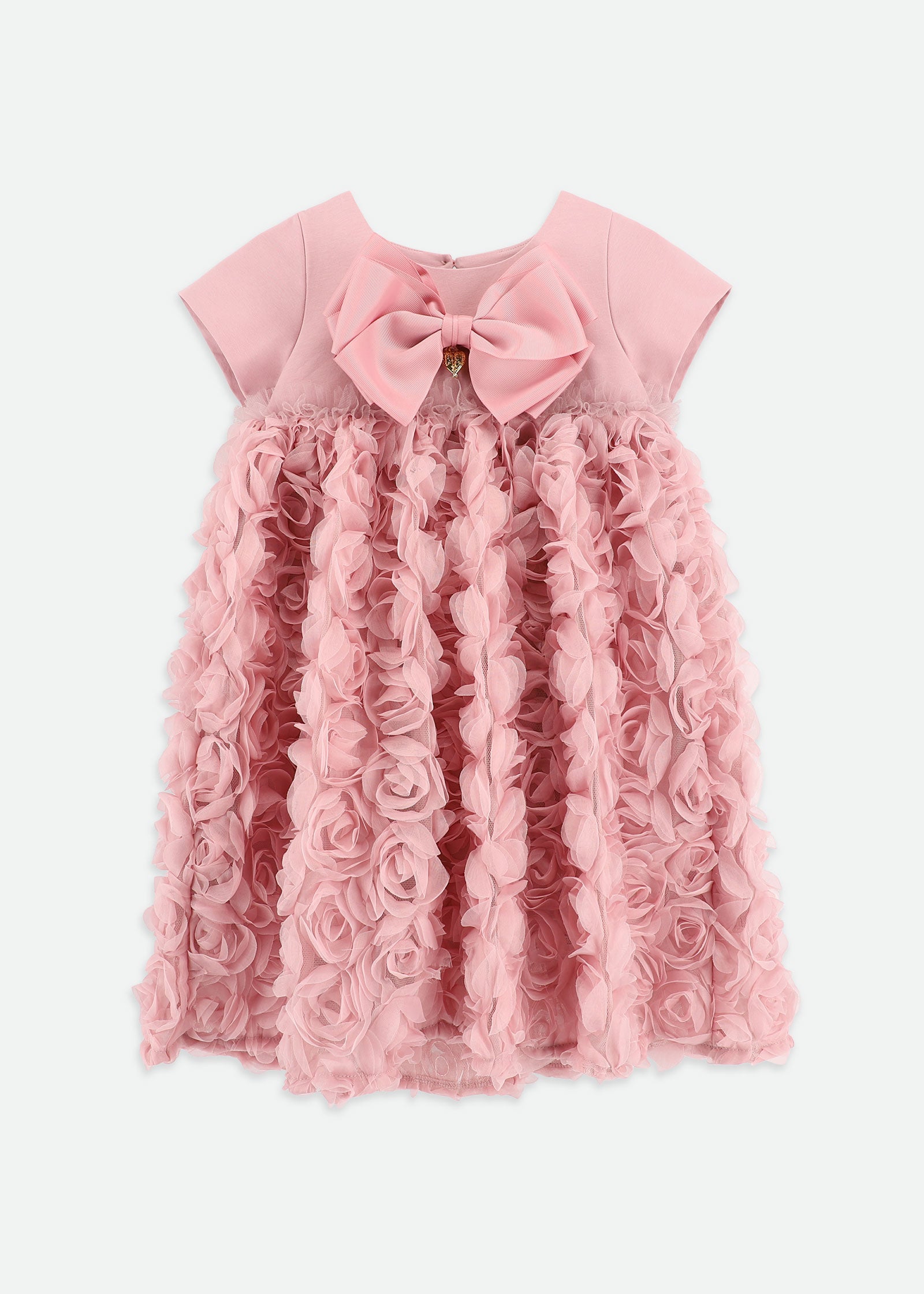 Talia 3D Roses Dress Tea Rose