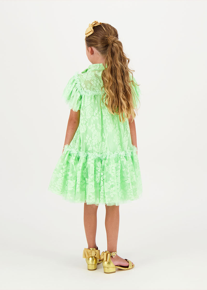 Vida Lace Dress Green