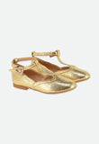 Ashley Shoe Gold