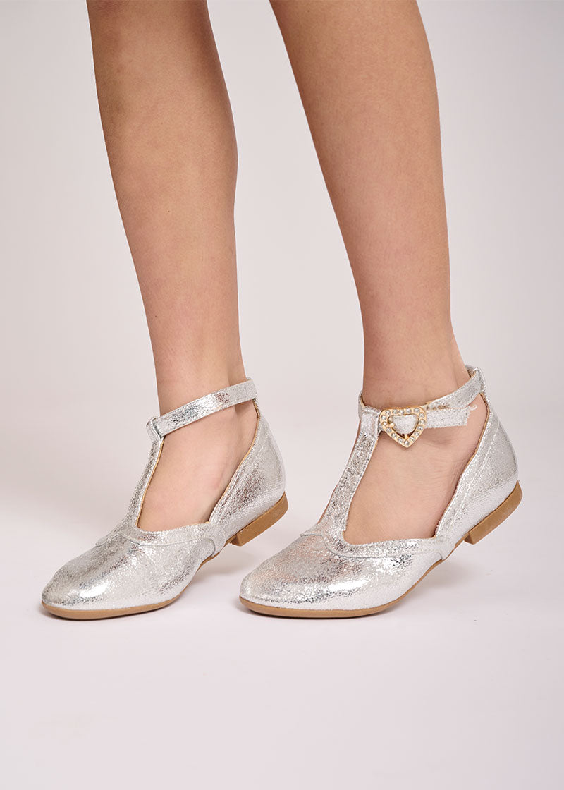 Ashley Shoes Silver