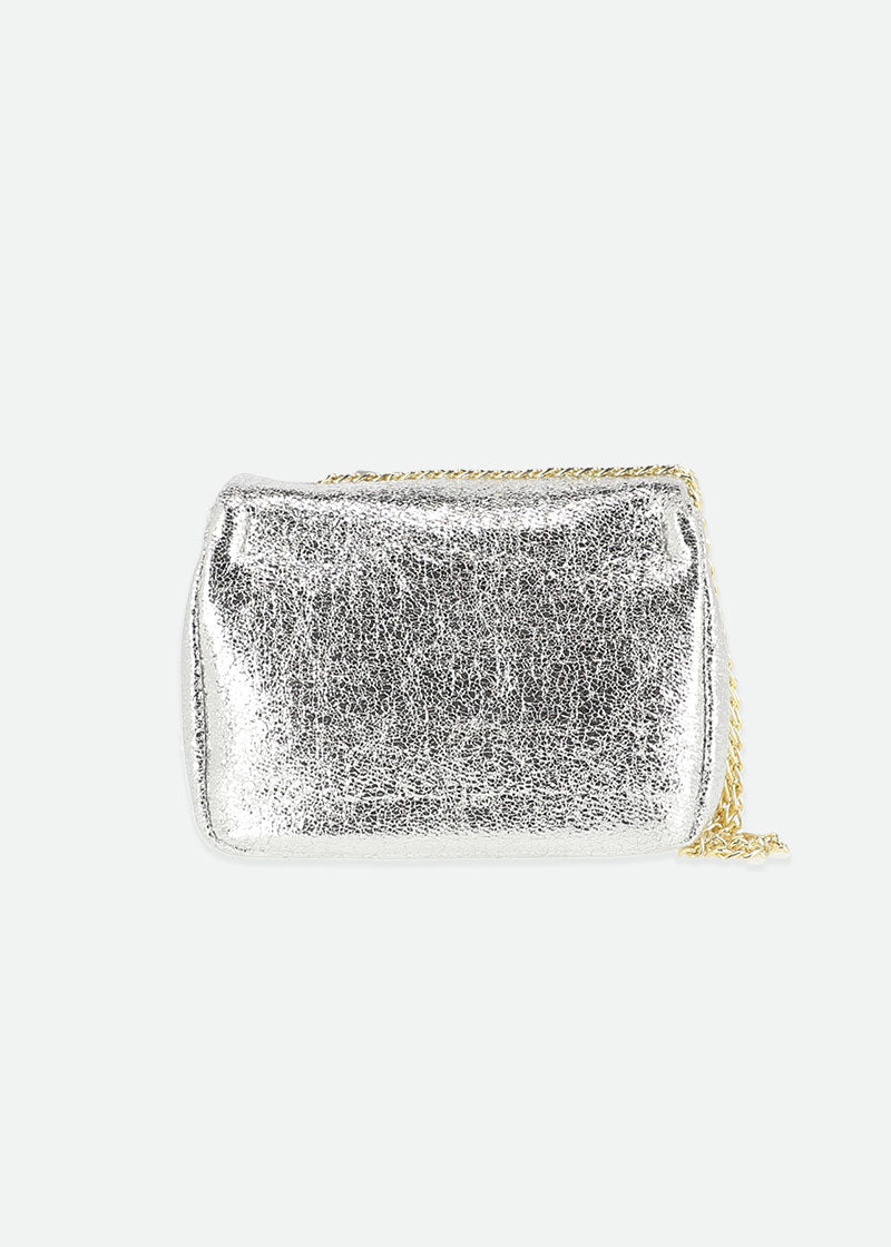 Skyla Metallic Bag Silver