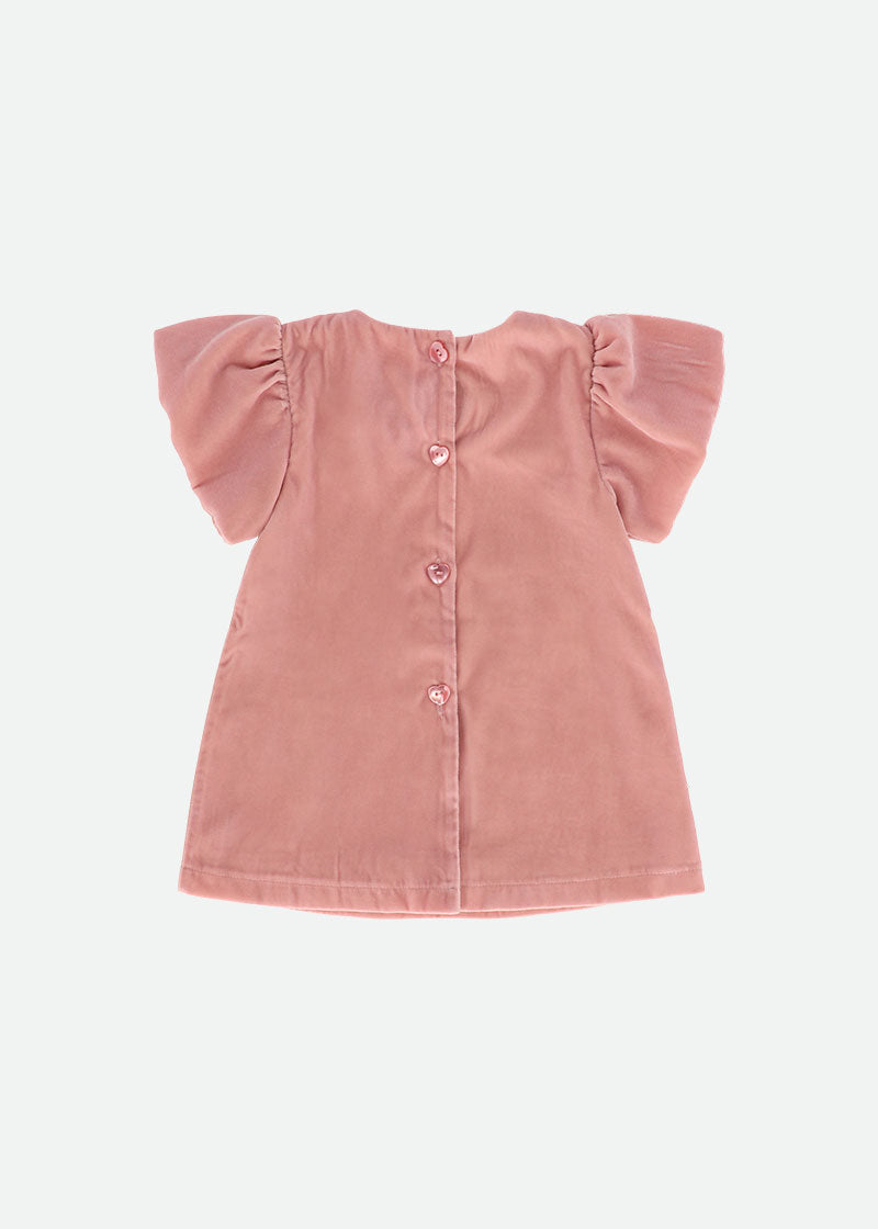 Zoey Baby Velvet Dress Tea Rose